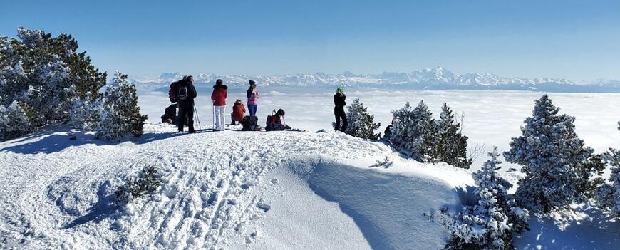 Au Crêt de la neige
